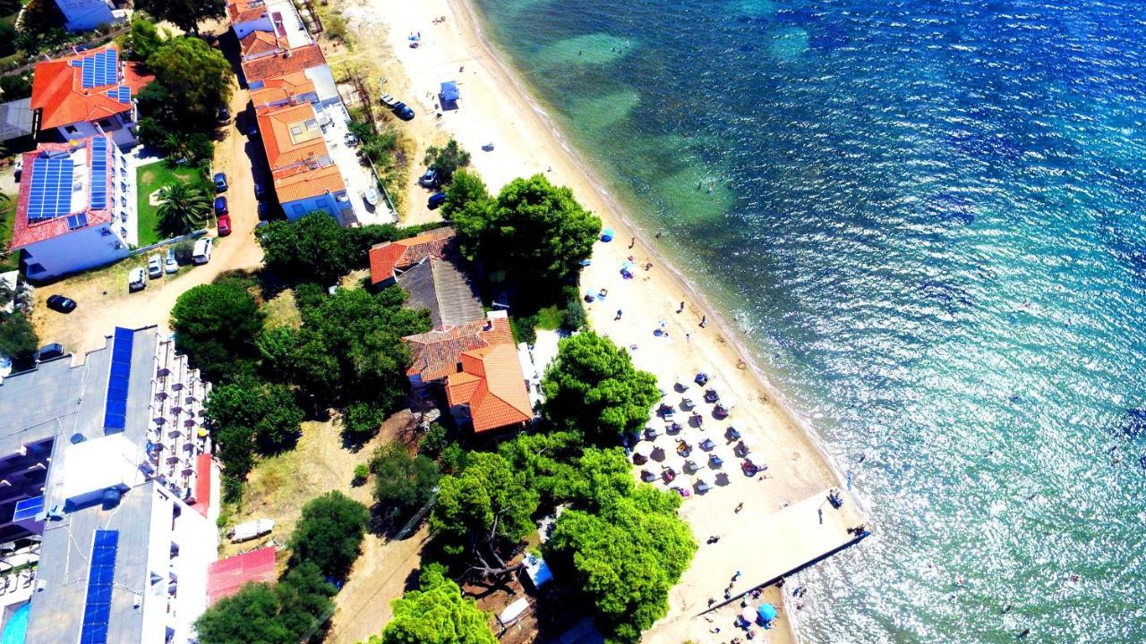 Golden Beach Hotel Metamorfosi  Exteriér fotografie