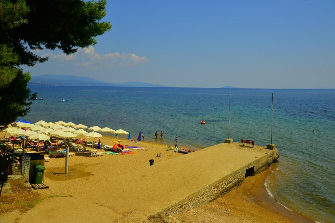 Golden Beach Hotel Metamorfosi  Exteriér fotografie